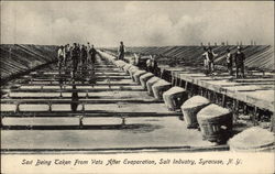 Salt Being Taken From Vats After Evaporation, Salt Industry Postcard