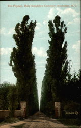 The Poplars, Holy Sepulchre Cemetery Postcard