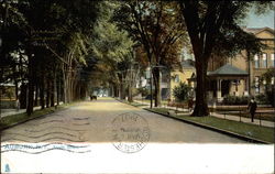 South Street Auburn, NY Postcard Postcard