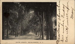 South Street Postcard