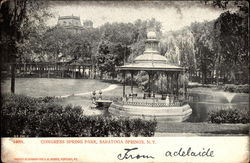 Congress Spring Park Postcard