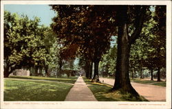 Upper James Street Postcard