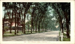 West Genesee Street Postcard
