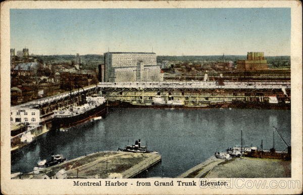 Montreal Harbor Cruise Ships