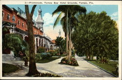 Promenade, Tampa Bay Hotel Grounds Postcard