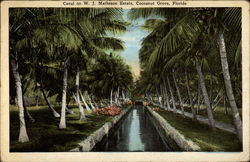 Canal on W. J. Matheson Estate Coconut Grove, FL Postcard Postcard