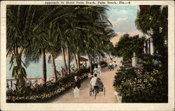 Approach to Hotel Palm Beach Postcard