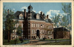 A. & T. College for Colored People Greensboro, NC Postcard Postcard