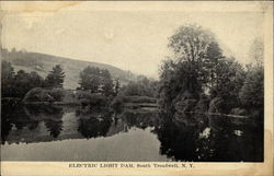 Electric Light Dam Treadwell, NY Postcard Postcard