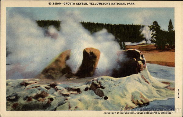 Grotto Geyser Yellowstone National Park Wyoming