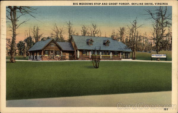 Big Meadows stop and ghost forest, Skyline Drive Stanley Virginia