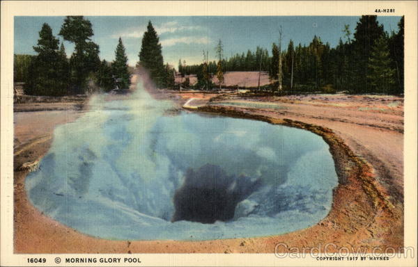 Morning Glory Pool Yellowstone National Park Wyoming