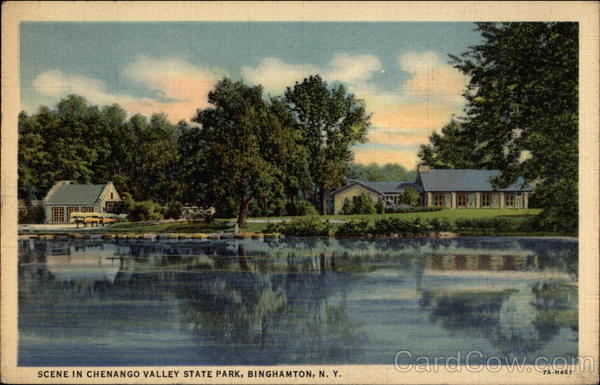 Scene in Chenago Valley State Park Binghamton New York