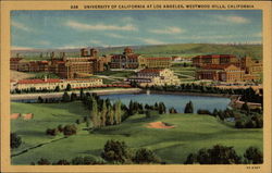 University of California at Los Angeles Westwood Hills Postcard Postcard