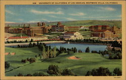 University of California at Los Angeles Westwood Hills Postcard