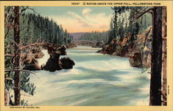Rapids Above the Upper Fall Postcard