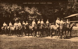 Camp Teedy-Usk-Ung Hawley, PA Postcard Postcard