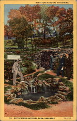 Miniature Natural Hot Spring Hot Springs National Park, AR Postcard Postcard