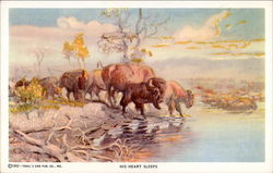 His Heart Sleeps Buffalo Postcard Postcard