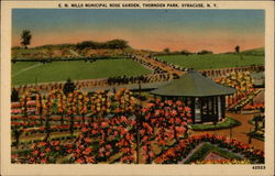 E. M. Mills Municipal Rose Garden, Thornden Park Postcard