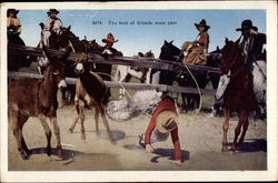The best of friends must part Rodeos Postcard Postcard