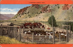 A Western Corral Postcard