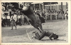 Iowa's Championship Rodeo Postcard