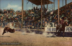 Chester Byers Roping Steer Rodeos Postcard Postcard