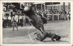 Iowa's Championship Rodeo Postcard