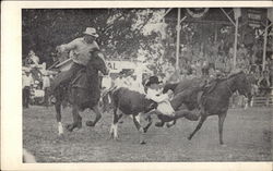 Iowa's Championship Rodeo Postcard