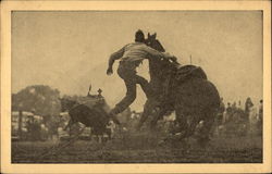 Iowa's Championship Rodeo Postcard