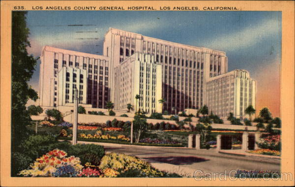 Los Angeles County General Hospital California