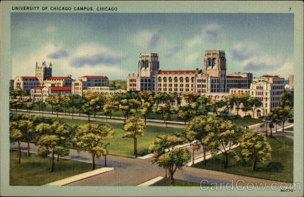 University of Chicago Campus Illinois