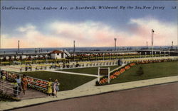 Shufflewood Courts, Andrew Ave. at Boardwalk Postcard