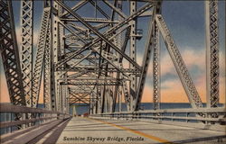 Sunshine Skyway Bridge Florida Postcard Postcard