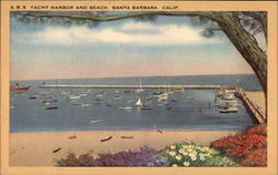 Yacht Harbor and Beach Postcard