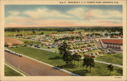 Sarasota T.C.T. Tourist Park Florida Postcard Postcard