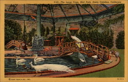 The Large Cage, Bird Park Postcard