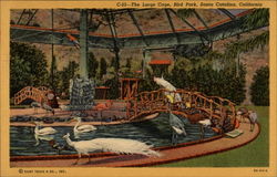 The Large Cage, Bird Park Santa Catalina Island, CA Postcard Postcard