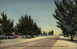 Courtney Parkway between Tampa and Clearwater Florida Postcard Postcard