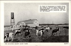 The Gilford County Dairy Farm Greensboro, NC Postcard Postcard