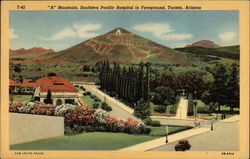 Stock #216035 Thumbnail