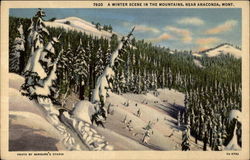 A Winter Scene in the Mountains Postcard