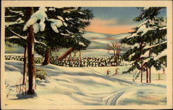 Winter Woods and Skiiers Winter Woods and Skiiers