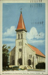 Pro Cathedral of the Assumption Postcard