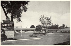 Maple Glen Motel Postcard