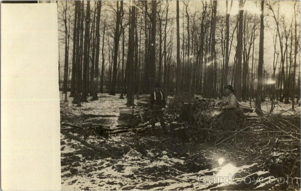 Men Chopping and stacking wood