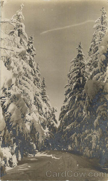Winter Scene Landscapes