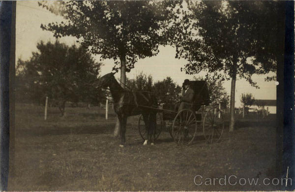 Man with Horse and Buggy Men