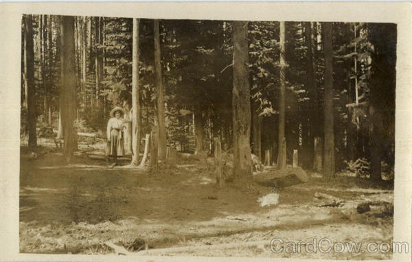 Woman in Forest Women